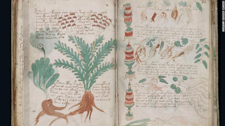 the voynich manuscript
