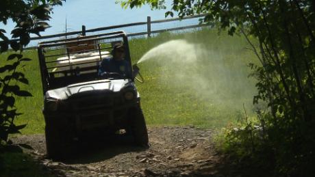 Campers face ticks and mosquitoes