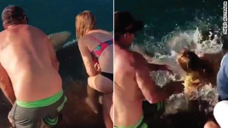 Terrifying moment that the woman feeds the sharks is shot in the water 