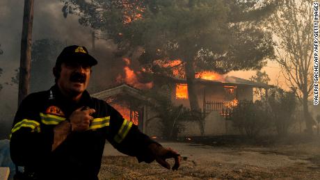   A pom Pier reacts as a house burns during a forest fire in Kineta, near Athens. 