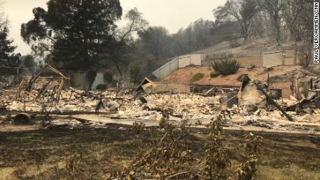   A cat named Jinx takes refuge in a green bush on a hill behind a burning house 