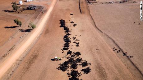 An aerial view of a drought-stricken farm&#39;s cattle feeding operation in New South Wales. 