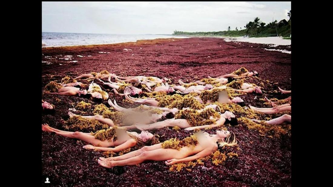 Spencer Tunick Fotografi Cuerpos Desnudos En El Sargazo De Las Playas