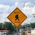 Bigfoot Disciples And Doubters Celebrate At North Carolina Festival CNN