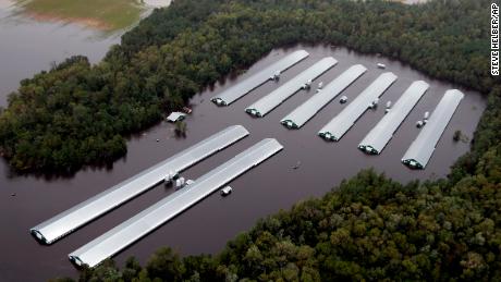 Millions of chickens and thousands of pigs died in Florence, North Carolina