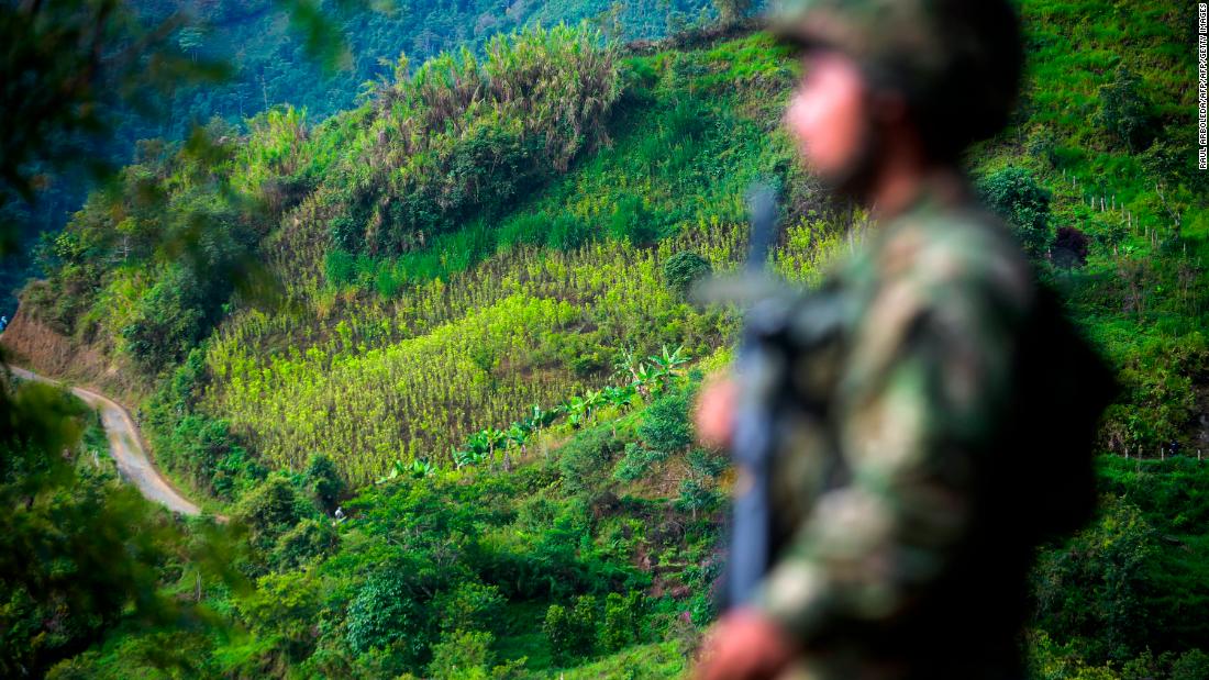 Récord de narcocultivos en Colombia a pesar de esfuerzos de