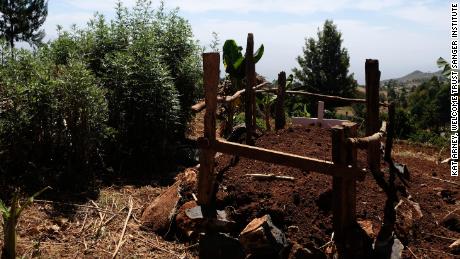 The graves of Emily's mother and father, both died of oesophageal cancer a few years later, outside of Iten, in the 39th century. western Kenya.