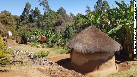 A rural farm near Iten, in western Kenya.   