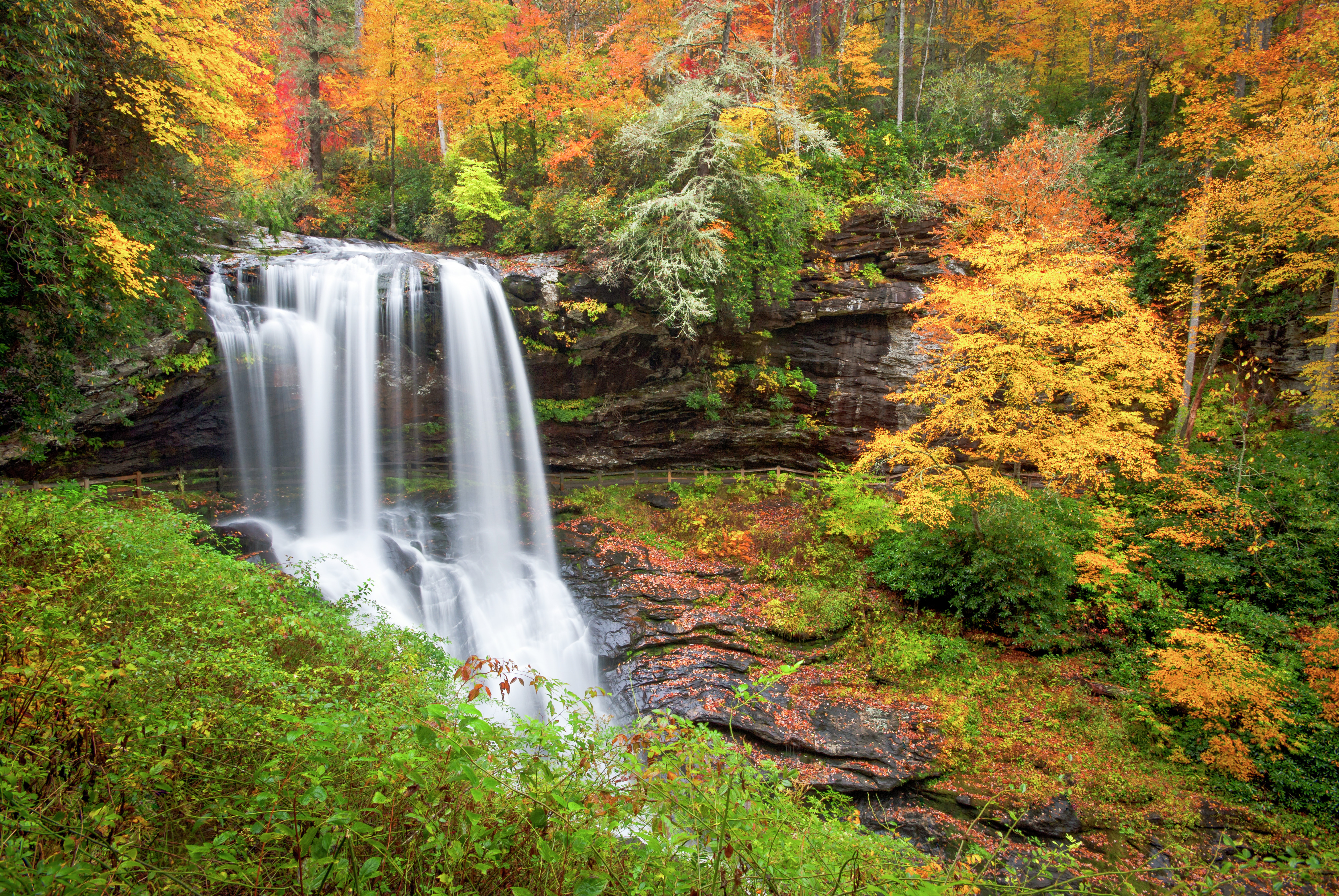 Fall Foliage Map 2019 Fall Foliage 2019: Map Shows Where And When To Expect Peak Autumn Colors |  Cnn Travel