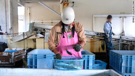 The new visa will allow blue collar workers to stay in Japan for up to five years.