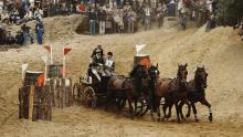Prince Philip takes part in the World Carriage Driving Championships in 1980.