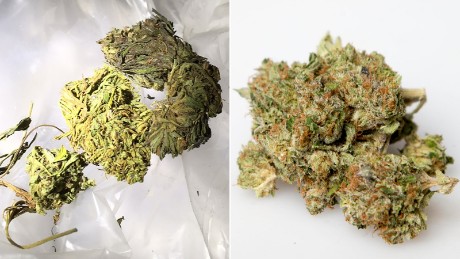   Left, Big Sky Scientific Hemp seized by Idaho State Police. On the right, marijuana 