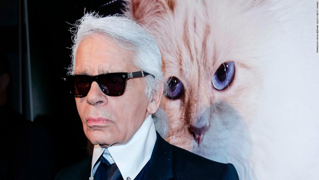 markering Grondwet voorstel Choupette, Karl Lagerfeld's cat, became an Instagram star - CNN Style