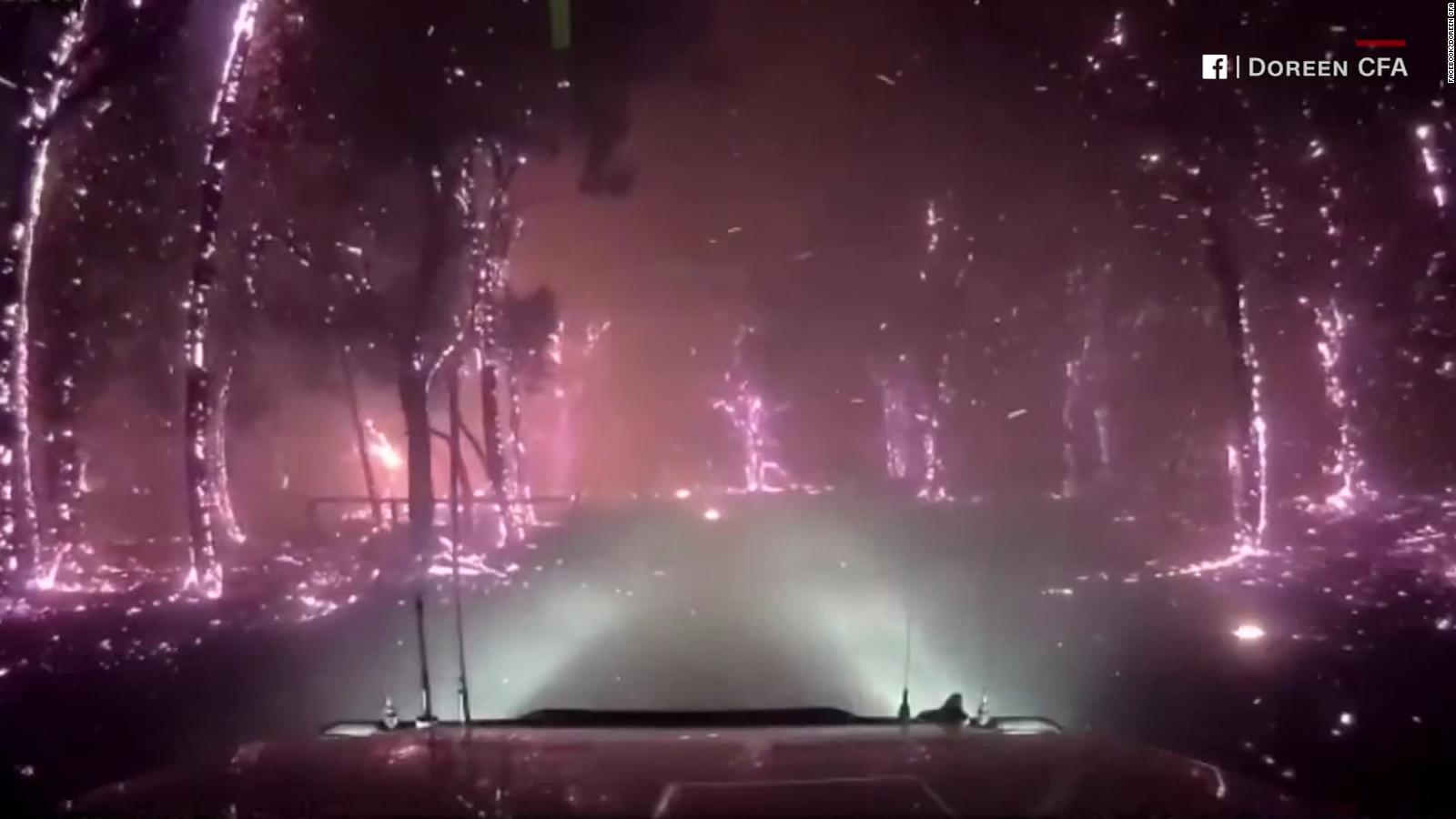 See Firefighters Drive Through Forest Engulfed In Flames Cnn Video