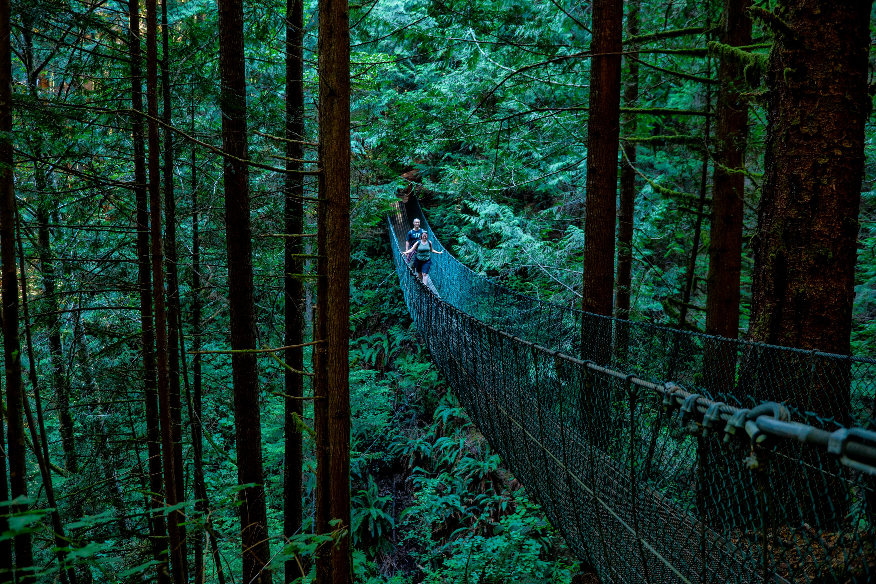 hiking-trails-near-me-drbeckmann