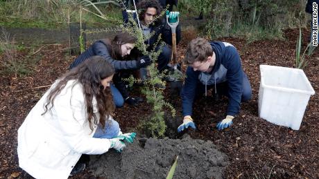 Students from Marjory Stoneman Douglas High School plant trees in honor of their fallen classmates at Halswell Quarry Park Conservation Area in Christchurch, New Zealand, on July 24, 2018. 