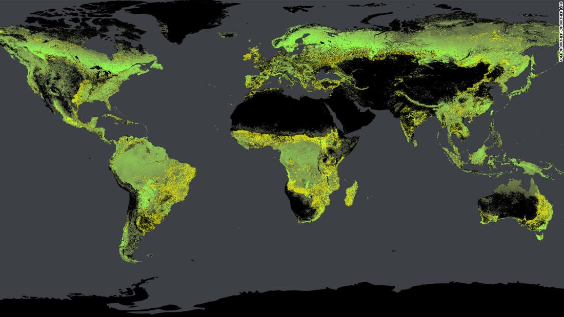 Best Way To Fight Climate Change Plant Trees Cnn