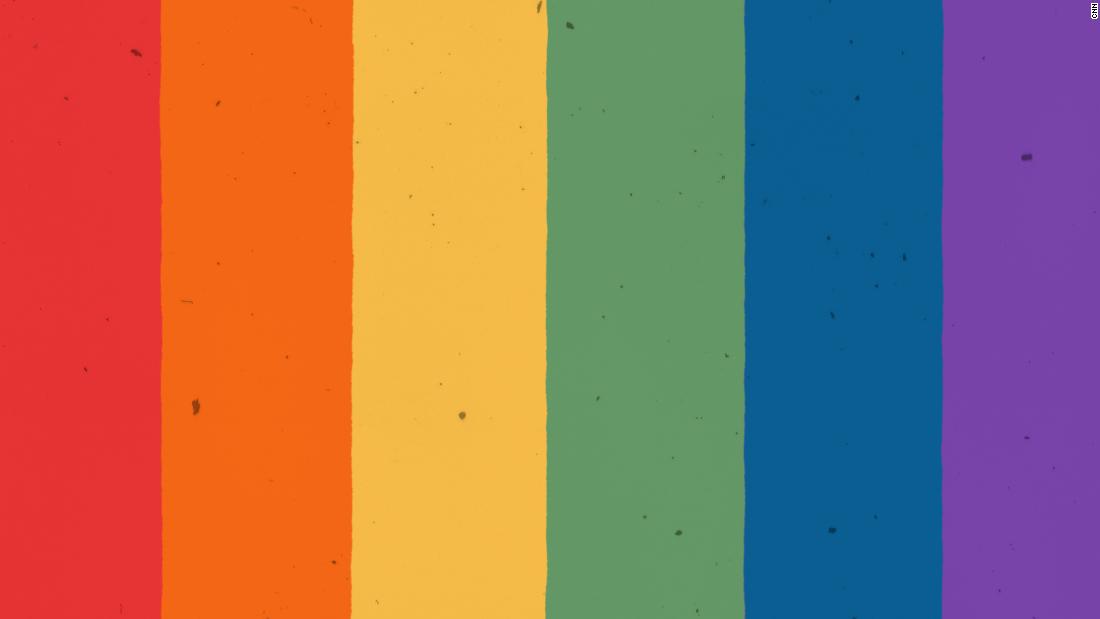 what does the gay pride flag look like