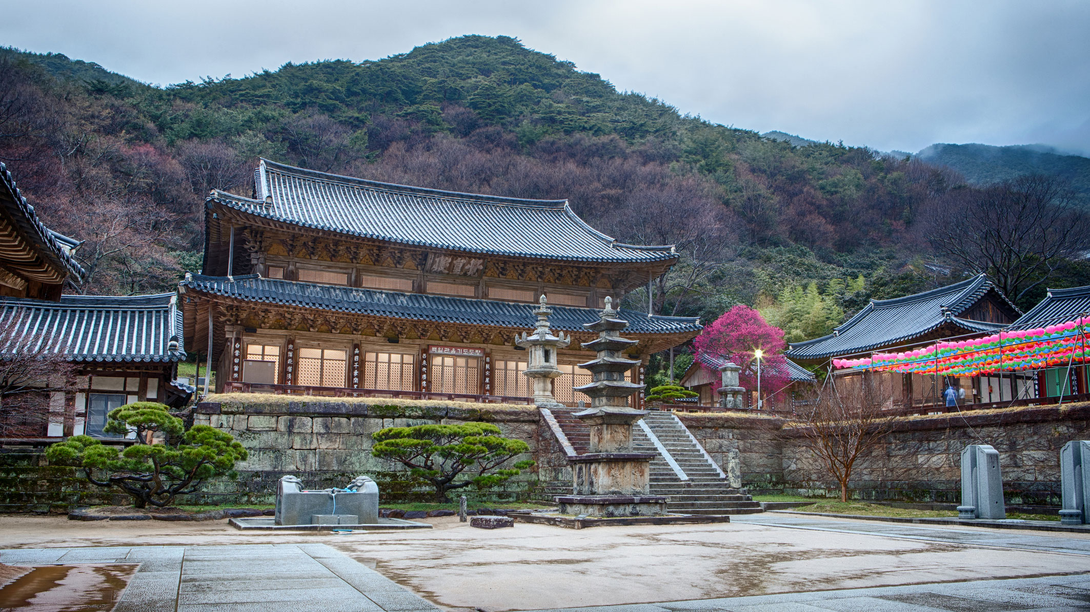 of South Korea's beautiful | CNN Travel