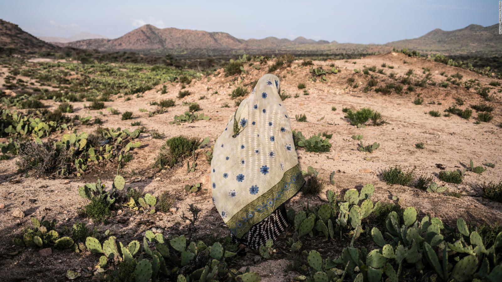 Climate Crisis Could Displace Billion People By Report Warns