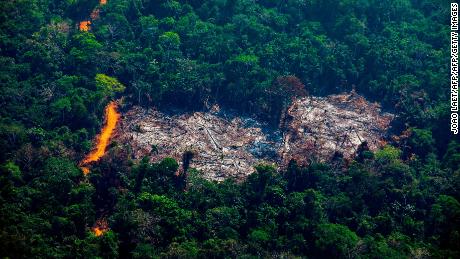 TOPSHOT - Aerial view of deforestation in the Menkragnoti Indigenous Territory in Altamira, Para state, Brazil, in the Amazon basin, on August 28, 2019. (Photo by Joao LAET / AFP)        (Photo credit should read JOAO LAET/AFP/Getty Images)