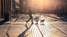 Walk a neighbor's dogs for free as often as you can. (It's good for your physical health, too.)