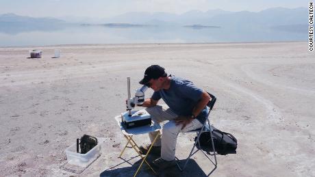 The worms live here in the arsenic-rich Mono Lake in the eastern Sierra Mountains of California. 