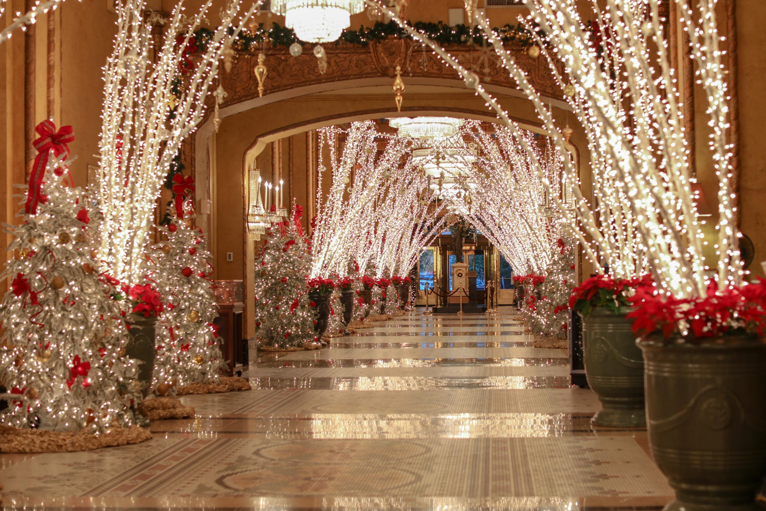 Christmas Hotel Breaks Dog Friendly