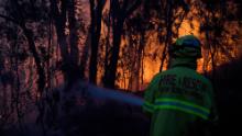 Firefighters try to put out a bushfire in Woodford on November 8.