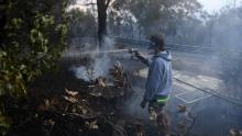 A resident hoses smoldering logs as a bushfire burns in Woodford on November 8.