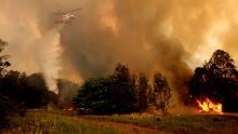 A helicopter drops water on a bushfire in Old Bar on November 9.