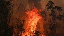A fire rages in Bobin on November 9.