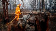 A firefighter works to contain a bushfire near Taree on November 10.