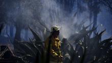 A firefighter mops up after a bushfire in the Sydney suburb of Llandilo on November 12.