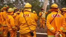 Firefighters organize their crews prior to working on controlled back burns in Sydney on November 14.