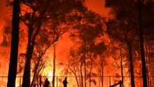 Firefighters try to protect the Colo Heights Public School on November 19.