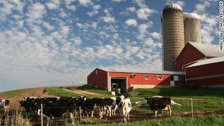 Milchbauern hoffen, dass sie mit Hilfe wieder auf Kurs kommen können.