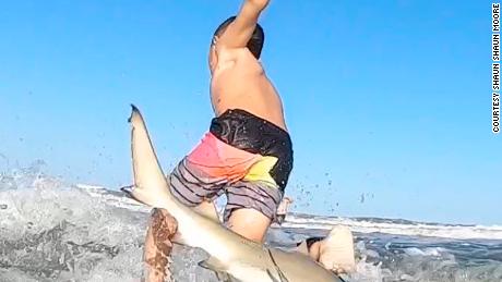 Shark schlägt den 7-jährigen Florida-Jungen von seinem Surfbrett