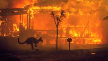 A kangaroo rushes past a burning house in Lake Conjola, Australia, on December 31.