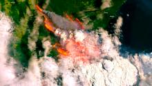 A satellite image released by Copernicus Sentinel dated December 31 shows bushfires burning across Australia.