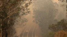 Smoke from wildfires shrouds a road near Moruya, Australia, on January 4.