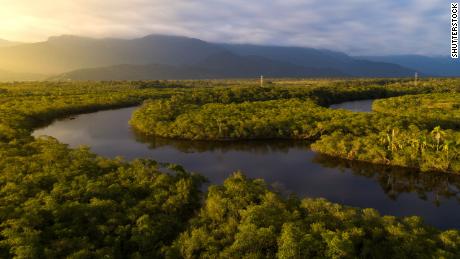 Einige Wissenschaftler sagen, dass der Amazonas-Regenwald bereits vor seinem Wendepunkt steht. 