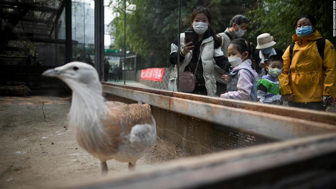 People visit the Beijing Zoo on March 25 after it reopened its outdoor exhibits to the public.