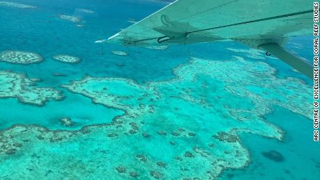 Das Bleichereignis im Jahr 2020 war das am weitesten verbreitete am Great Barrier Reef, das jemals aufgezeichnet wurde. 