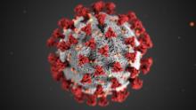First cases of coronavirus-related inflammatory syndrome identified in children in South Carolina