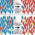 Herd Immunity Why Some Think It Could End The Coronavirus Pandemic Cnn