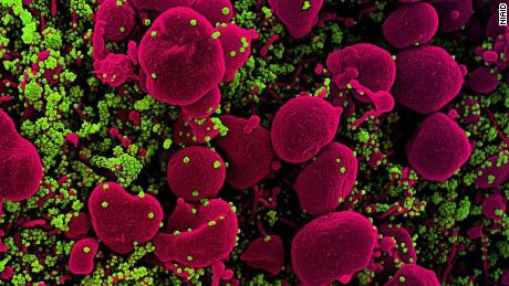 CDC hat mehr als 50 US-Fälle von Coronavirus-Varianten gefunden, die erstmals in Großbritannien identifiziert wurden