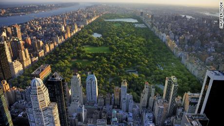 Woman placed on leave from work after viral Central Park video