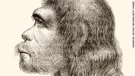 Wissenschaftler haben Mini-Gehirne gezüchtet, die Neandertaler-DNA enthalten 