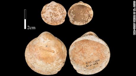Humans wore necklaces made from shells more than 120,000 years ago, a new study finds